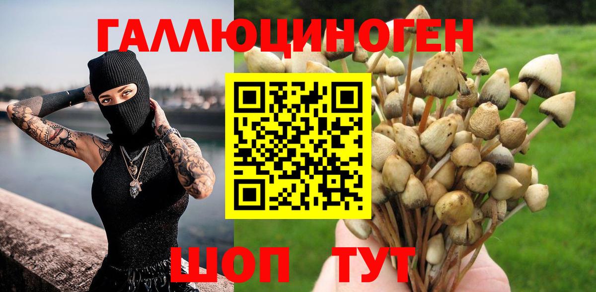 Псилоцибиновые грибы MAGIC MUSHROOMS Новочеркасск