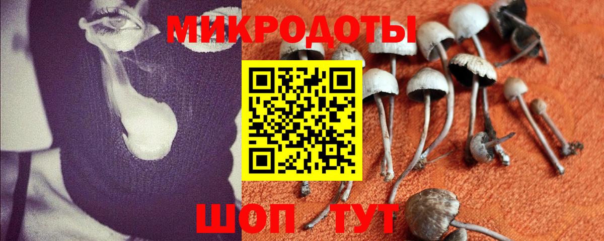 Новочеркасск  Галлюциногенные грибы Cubensis  Вход с VPN  Псилоцибиновые грибы мицелий 
